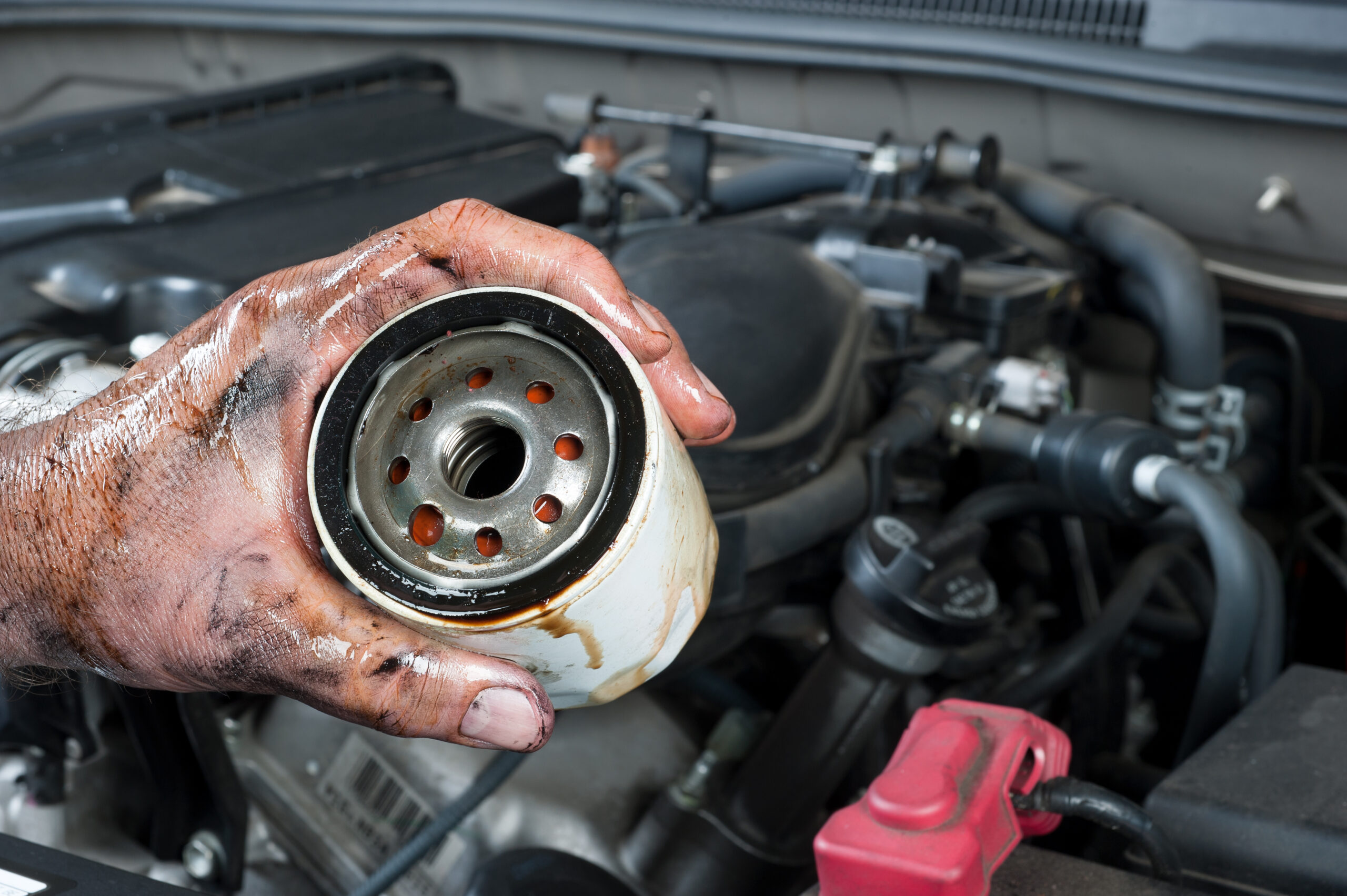 auto mechanic holding oil filter 2024 10 11 20 49 30 utc scaled